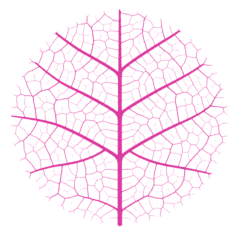Biovital Naturheilpraxis Logo